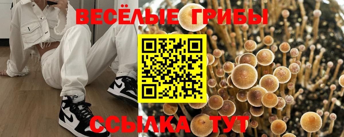 Псилоцибиновые грибы прущие грибы Ачинск